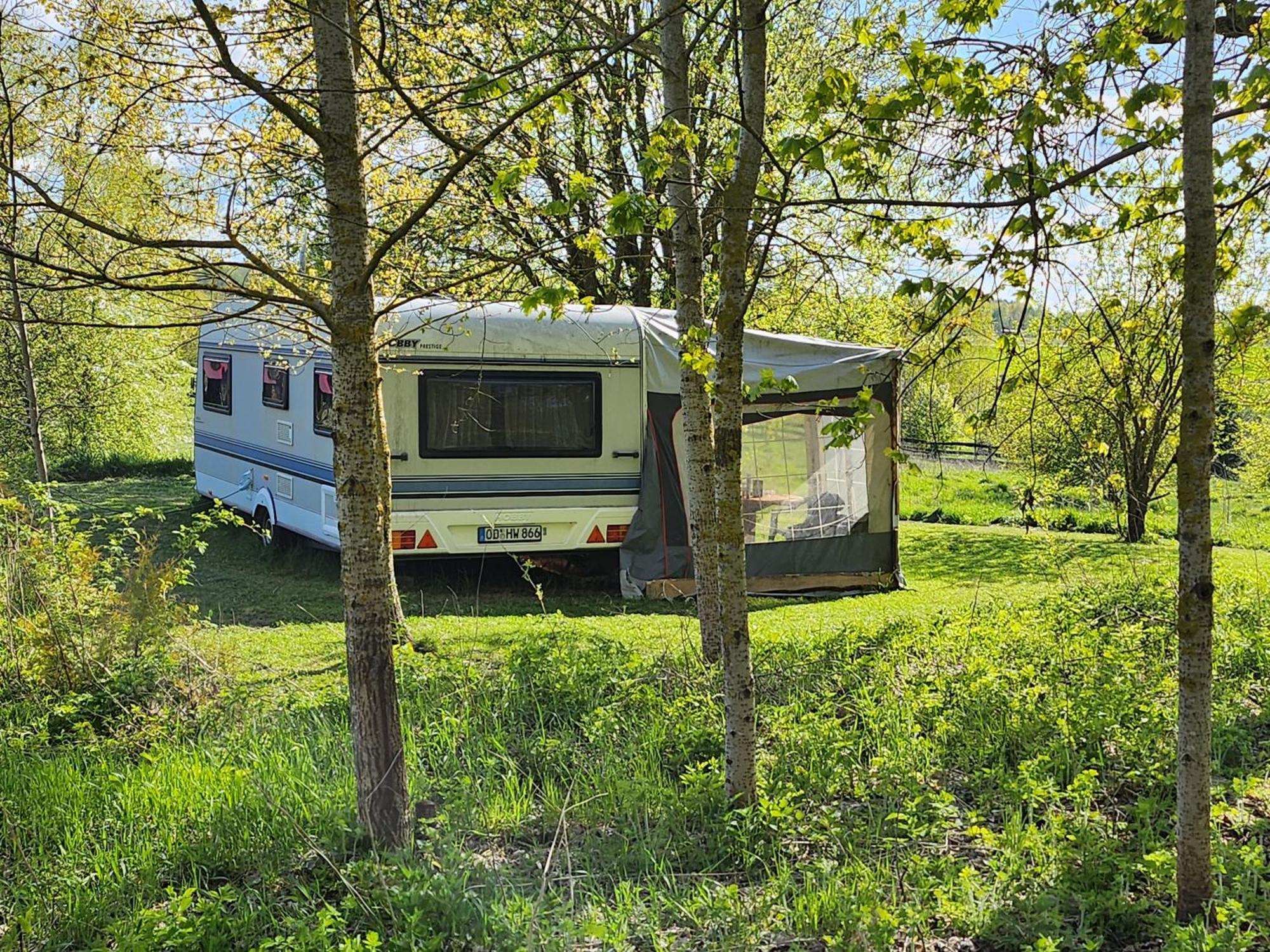 House In Nature Varena Exterior photo
